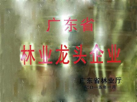    	         	2015年1月，紅古軒當選為“廣東省林業(yè)龍頭企業(yè)”   